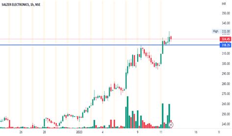 Salzer Electronics Ltd (SALZERELEC) Stock Price & News .